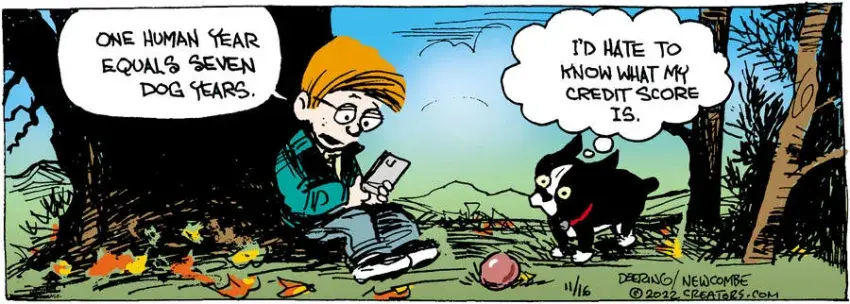 Zack Hill for Nov 16, 2022