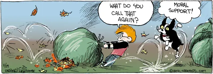 Zack Hill for Nov 19, 2021