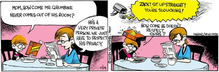 Zack Hill for Nov 19, 2024