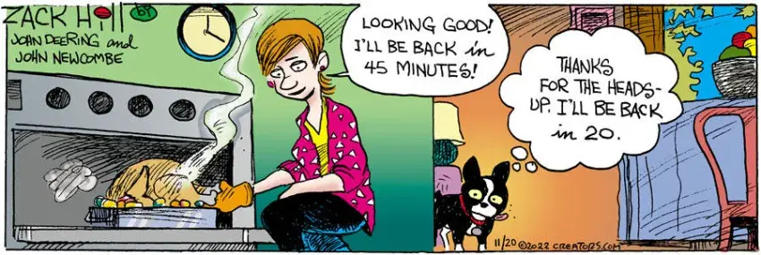 Zack Hill for Nov 20, 2022