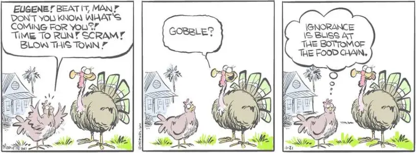 Shrimp and Grits for Nov 21, 2022