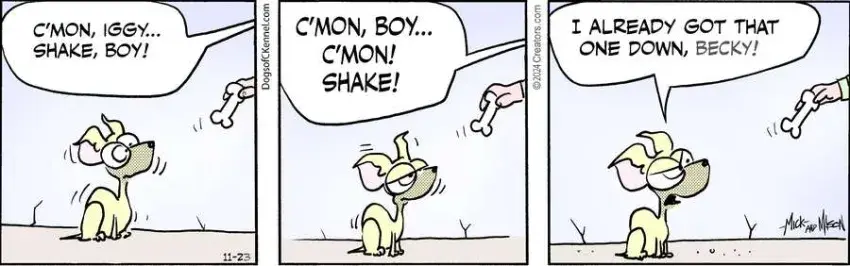 Dogs of C-Kennel for Nov 23, 2024