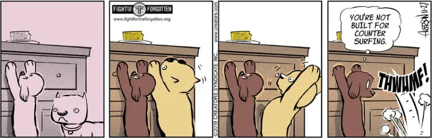 Dog Eat Doug for Nov 27, 2024