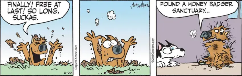 Dogs of C-Kennel for Nov 29, 2024