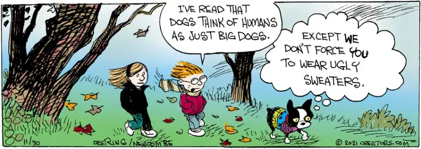 Zack Hill for Nov 30, 2021