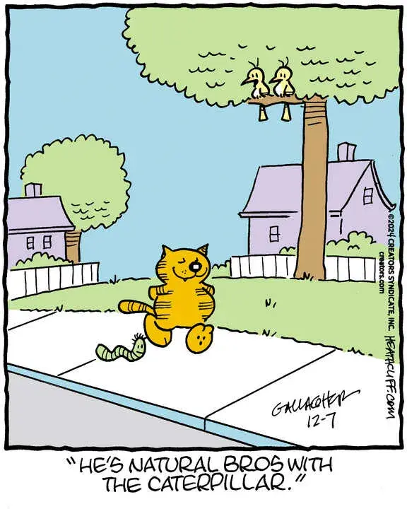 Heathcliff for Dec 07, 2024