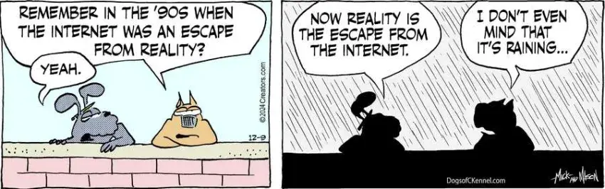 Dogs of C-Kennel for Dec 09, 2024