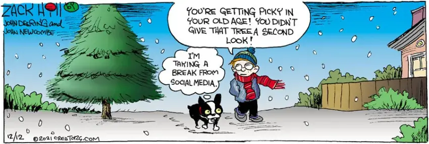 Zack Hill for Dec 12, 2021