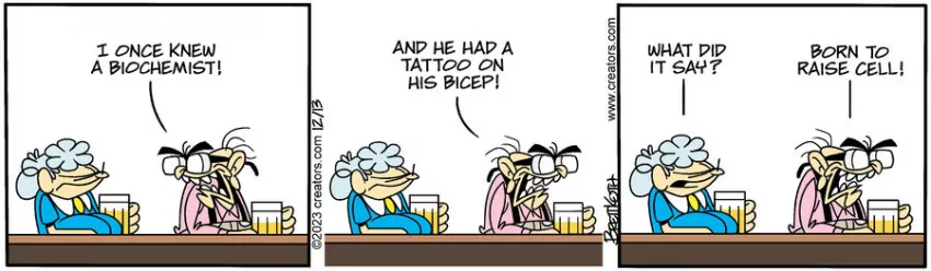 Diamond Lil for Dec 13, 2023