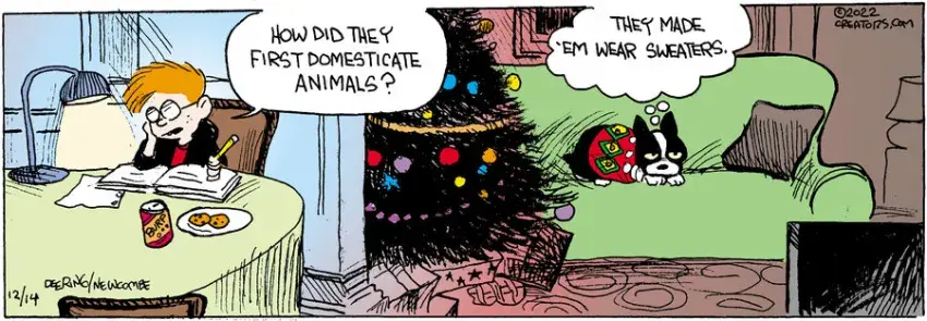 Zack Hill for Dec 14, 2022