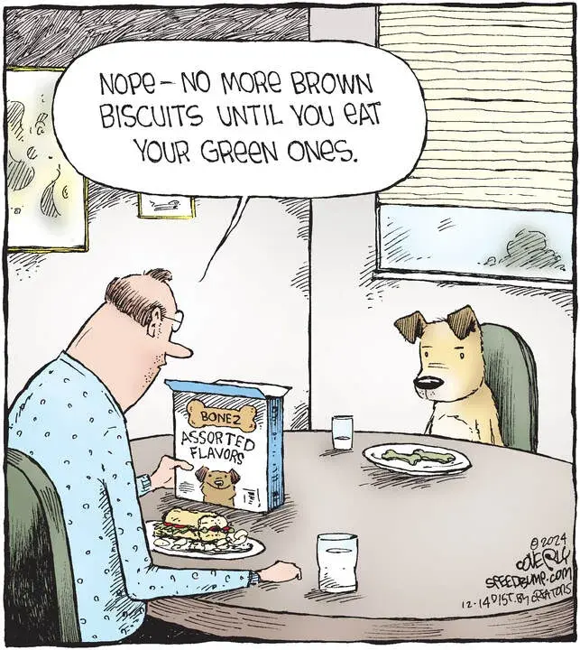 Speed Bump for Dec 14, 2024