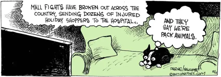 Zack Hill for Dec 17, 2022