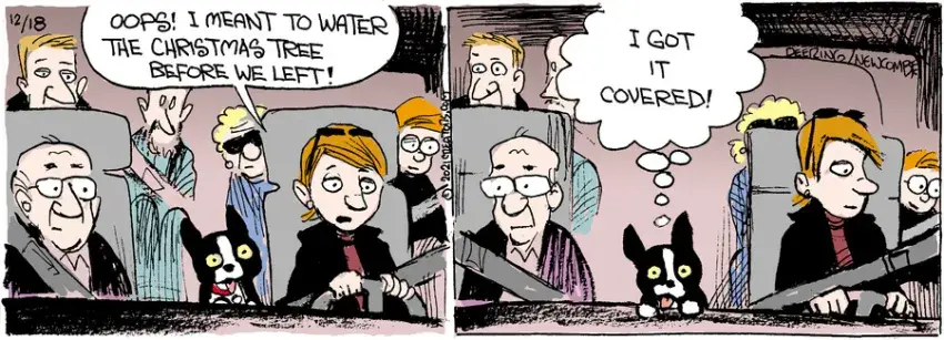 Zack Hill for Dec 18, 2021