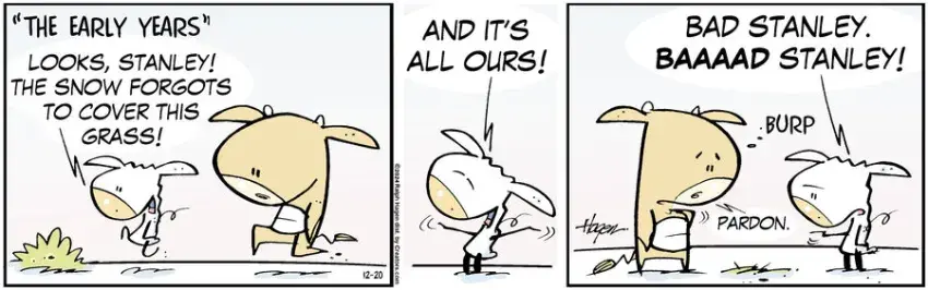 The Barn for Dec 20, 2024