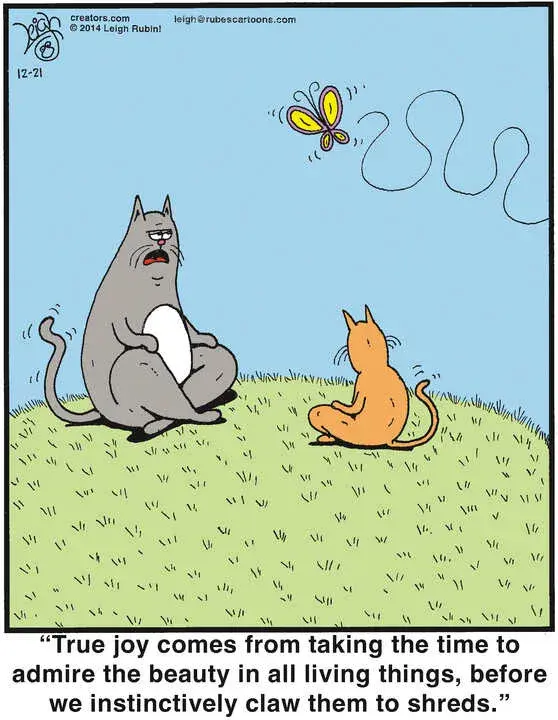 Rubes® for Dec 21, 2024