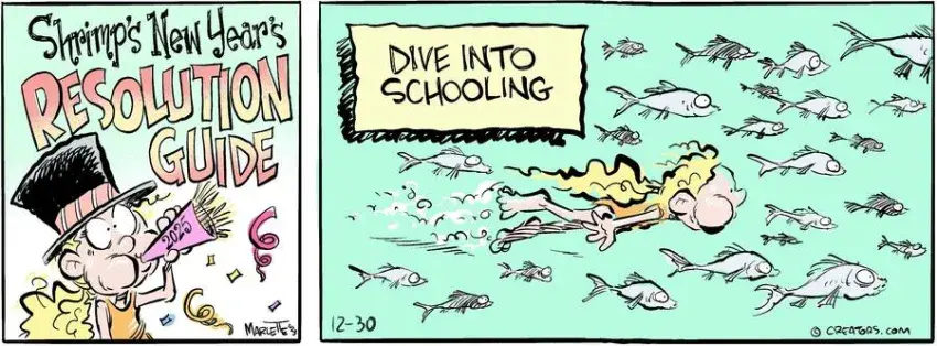 Shrimp and Grits for Dec 30, 2024